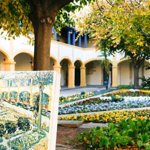 Van Gogh tour in Arles