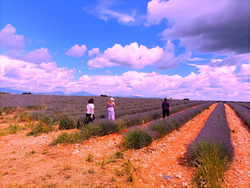 Provence Guide