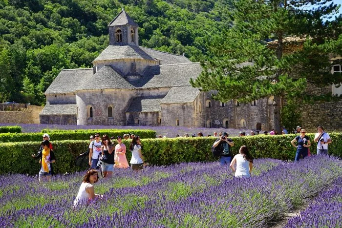 Tour guide in Provence, Tour in Provence, Romain Bouchaud
