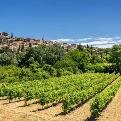 Tour to the Luberon nature park – 8 hours