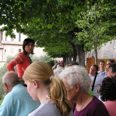 Tour guide in Avignon