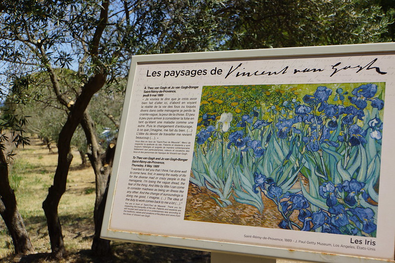 Guided tour in Saint-Rémy-de-Provence - 2 hours - Image 10