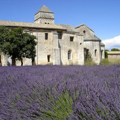 Tour to Saint-Rémy-de-Provence and Les Baux-de-Provence – 8 hours