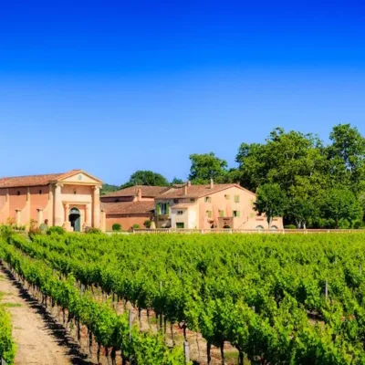 Tour to Saint-Tropez – 8 hours