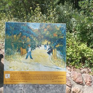 Van Gogh tour in Arles and Saint-Rémy-de-Provence