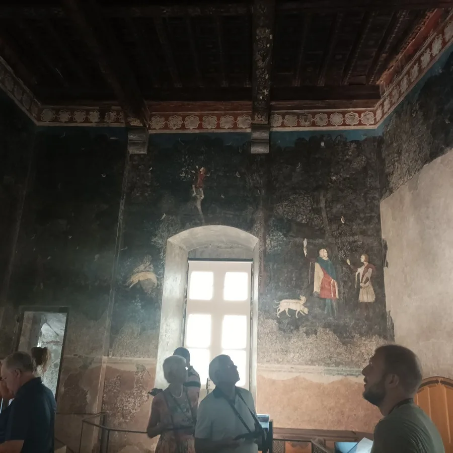 Guided tour in the Popes palace
