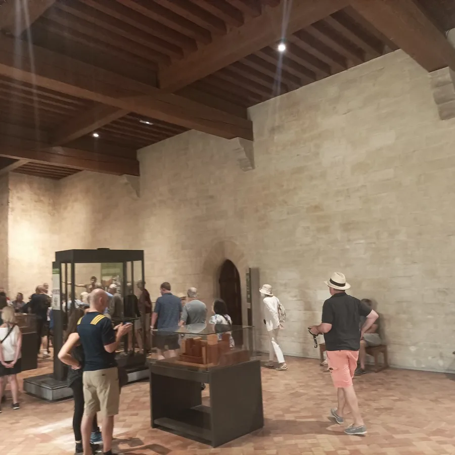 Tour guide in Avignon - Image 10