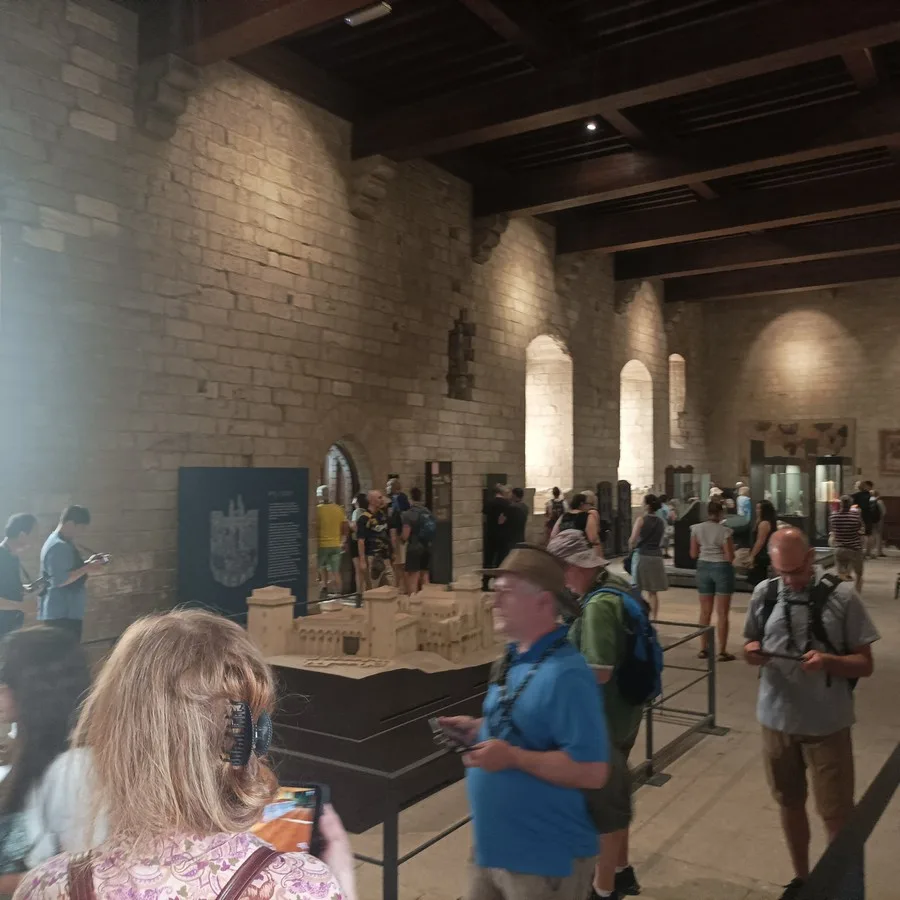 Tour guide in Avignon, Romain Bouchaud