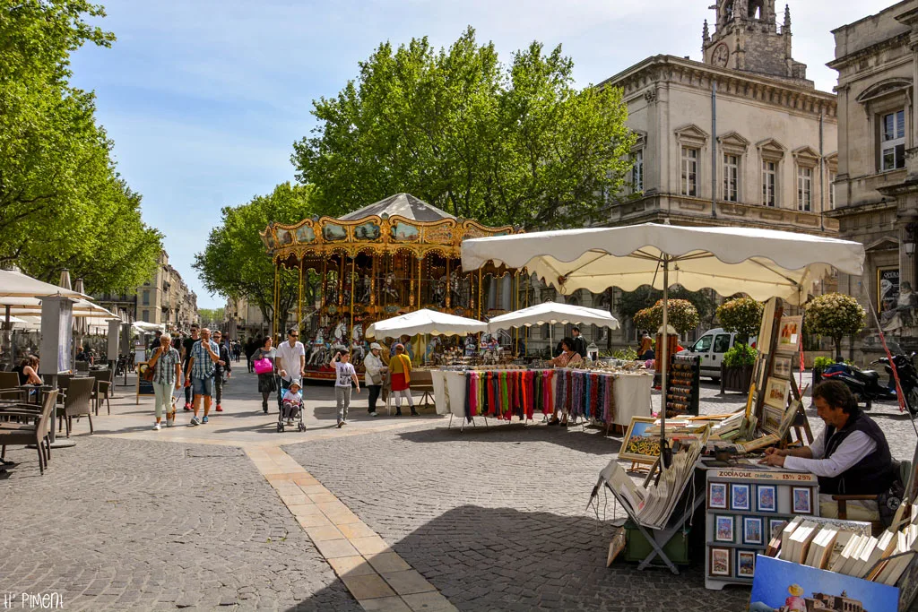 Tour to Avignon - 8 hours - Image 11