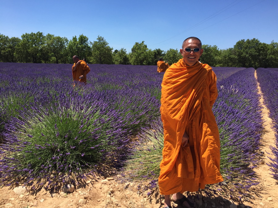Lawendowa wycieczka po Valensole, Romain Bouchaud