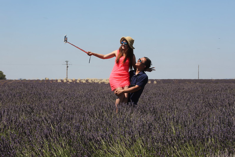 Lawendowa wycieczka po Valensole