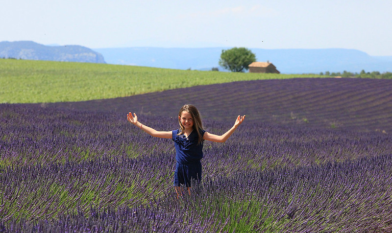 Lawendowa wycieczka po Valensole