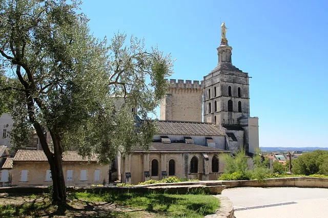 Guided tour in Avignon, Romain Bouchaud