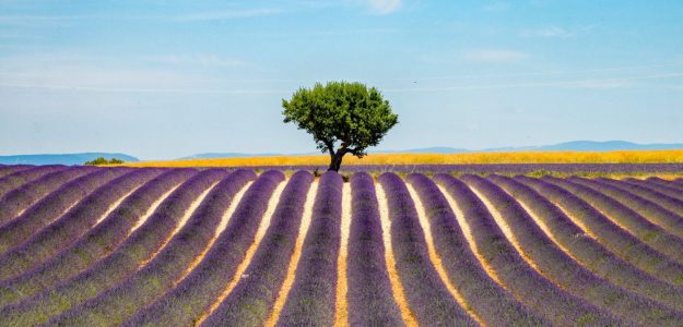 Visit Provence