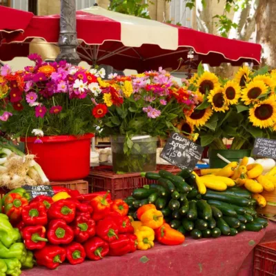 Tour in Provence – 8 hours