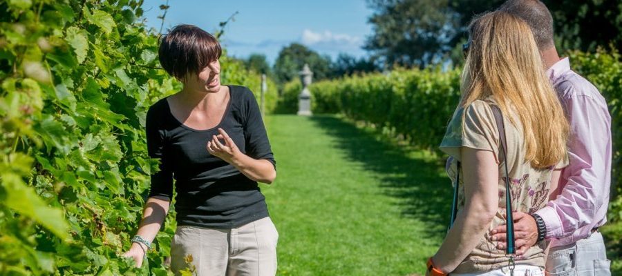 Tour in Provence