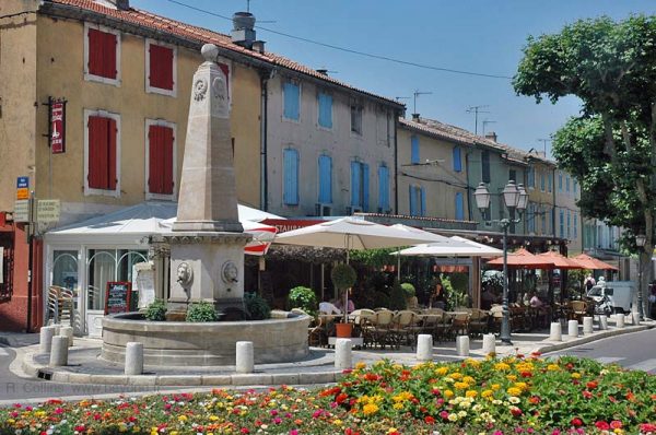 Guided tour in Saint-Rémy-de-Provence