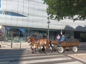 Guided tour in Nîmes, Romain Bouchaud
