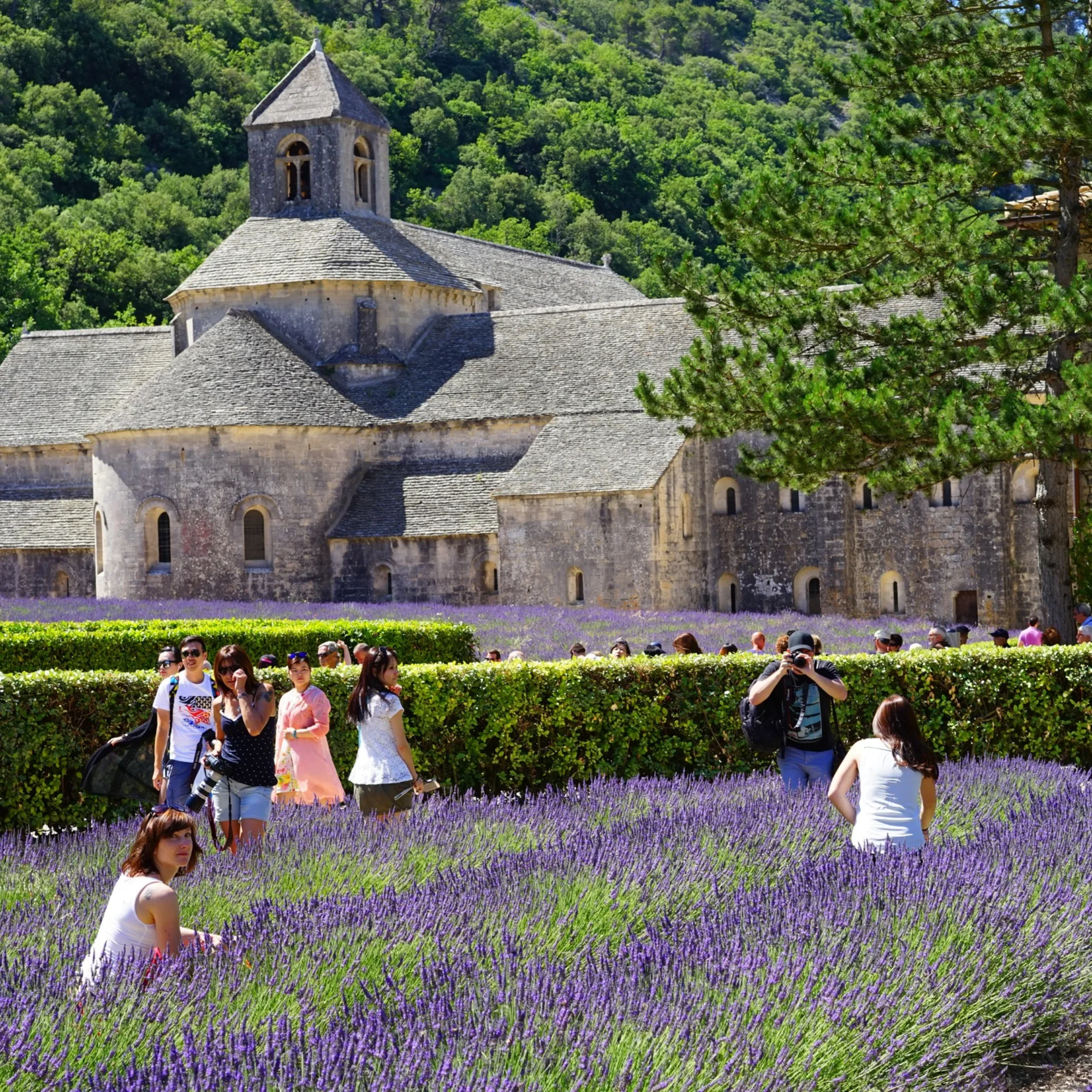 Besoek Provence