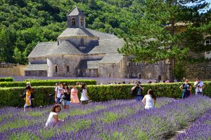 Read more about the article Visit Provence