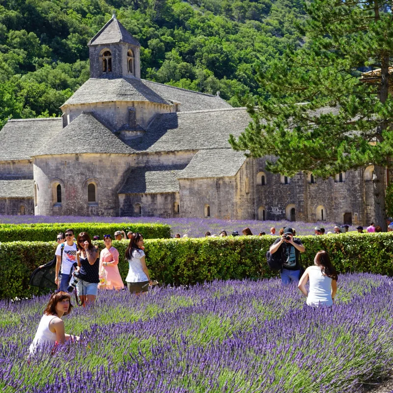 Visit Provence