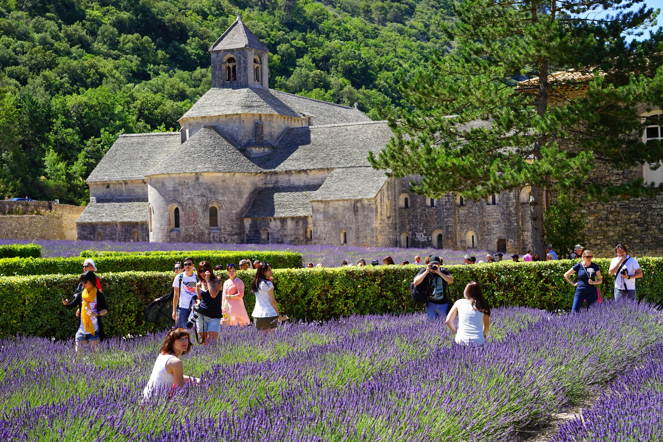 You are currently viewing Visit Provence