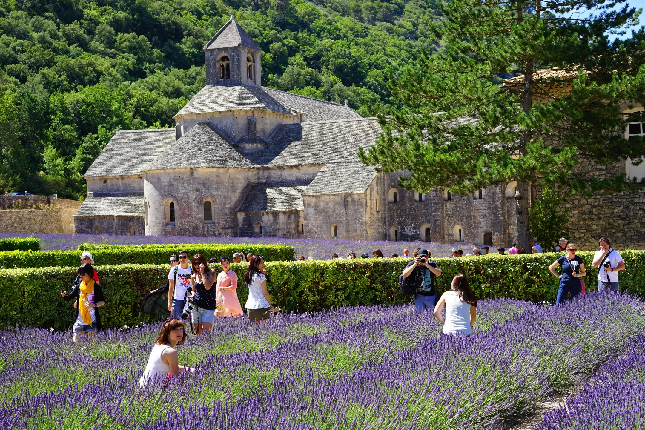 Vous consultez actuellement Visit Provence