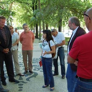 Guided tour of Nîmes including the roman monuments – 3 hours