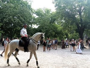 Guided tour in Nîmes, Romain Bouchaud