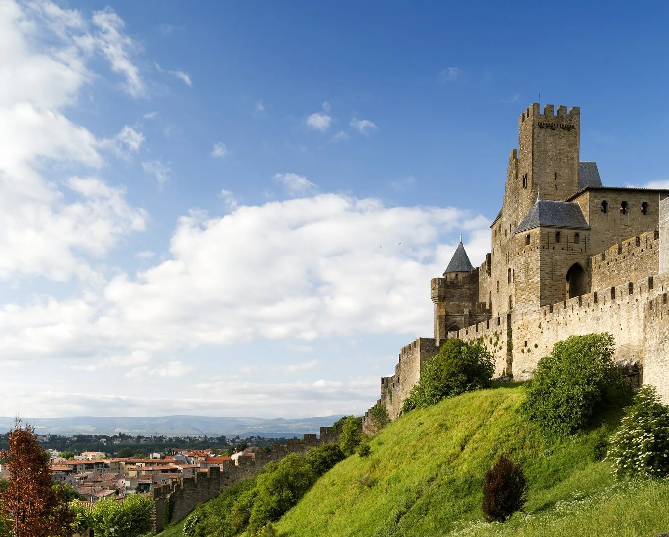 Guided tour in Carcassonne