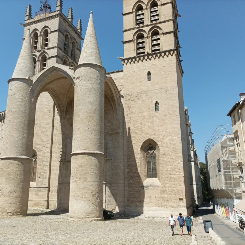 Tour guide in Montpellier, Romain Bouchaud, Guided tour in Montpellier