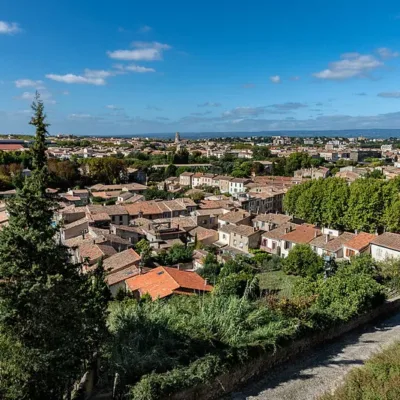 Tour guide in Carcassonne