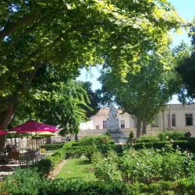 Tour guide in Montpellier