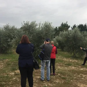 Guided tour in Les Baux-de-Provence – 2 hours