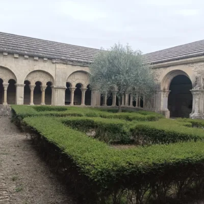 Tour guide in Vaison-la-Romaine