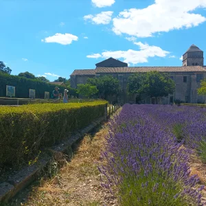 Tour guide in Saint-Rémy-de-Provence