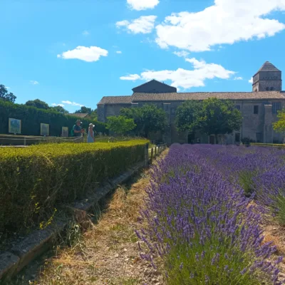 Tour guide in Saint-Rémy-de-Provence, Romain Bouchaud, Van Gogh Tour