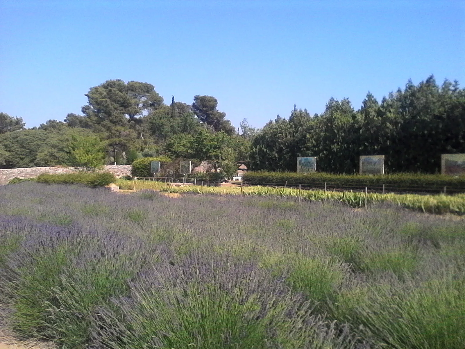 Toergids in Saint-Rémy-de-Provence - Beeld 7