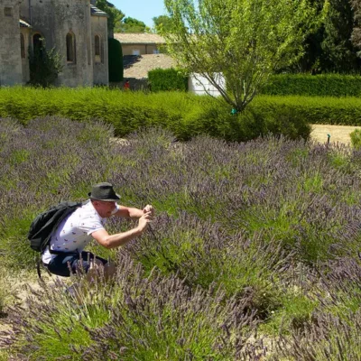 Tour to Saint-Rémy-de-Provence and Les Baux-de-Provence – 8 hours