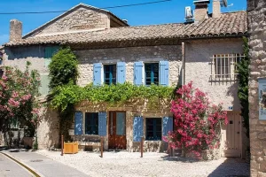 Guided tour in Saint-Rémy-de-Provence