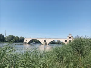 Private tour in Avignon, Romain Bouchaud