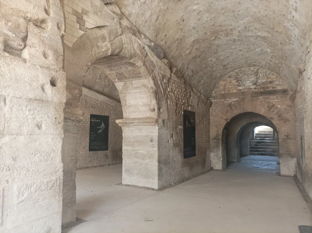 Guided tour in Arles, Romain Bouchaud