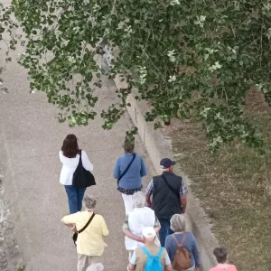 Idegenvezetés Avignonban – 2 óra