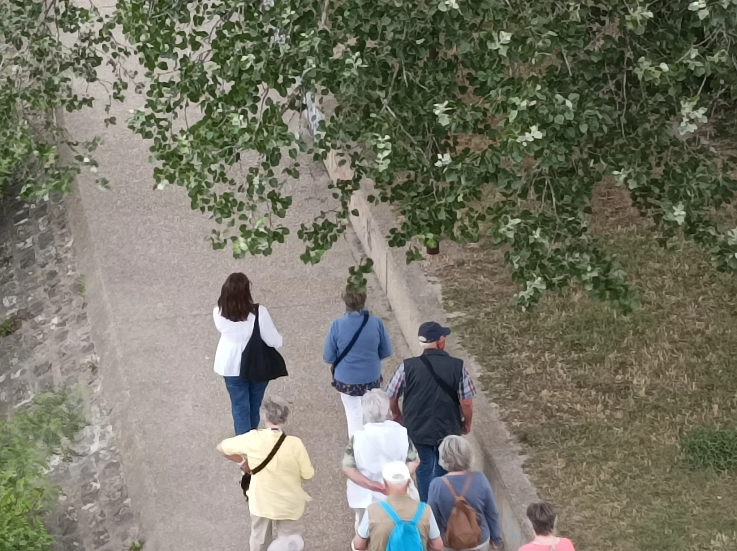 Guided tour in Avignon, Romain Bouchaud