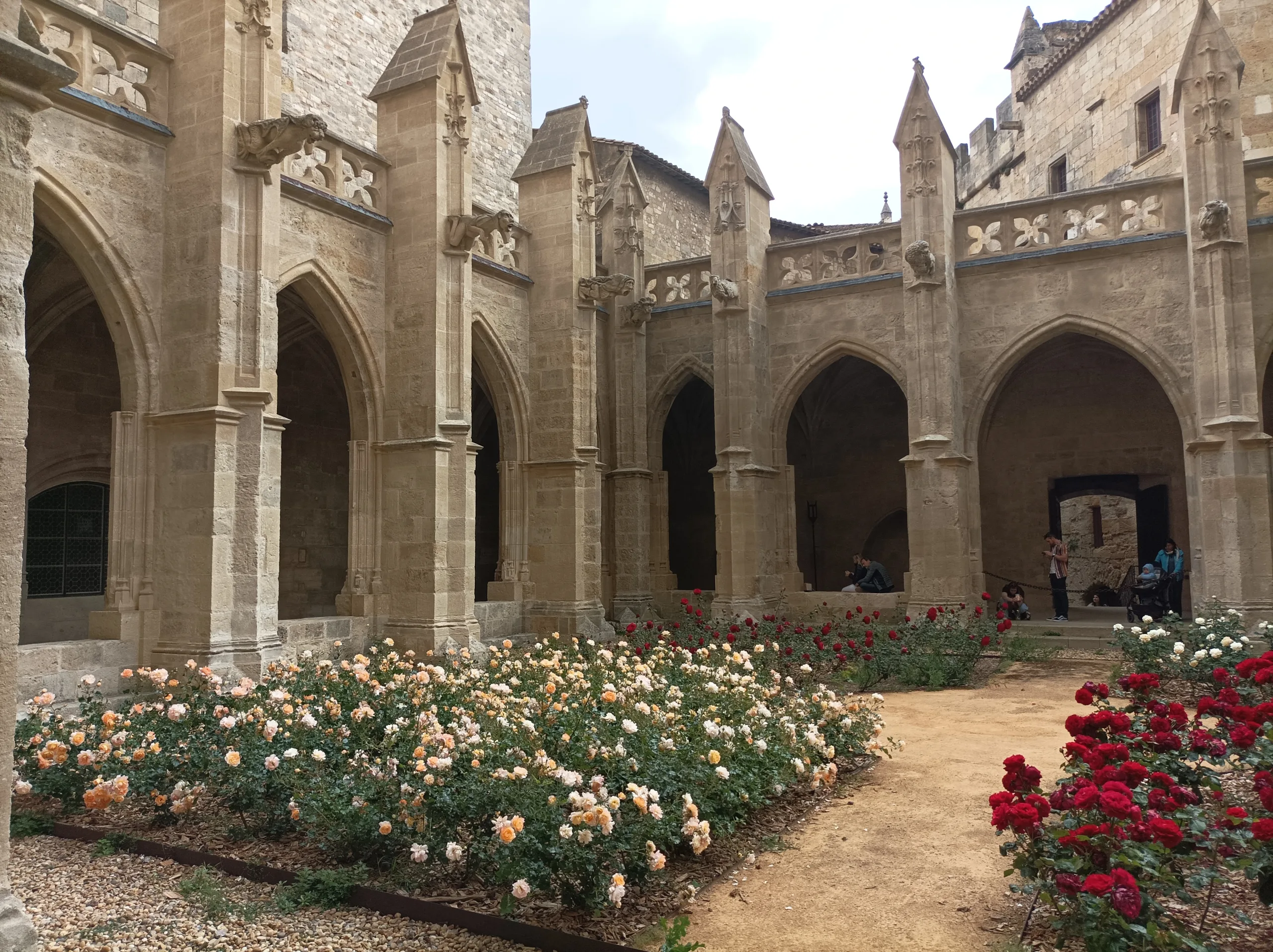 Guided tour in Narbonne, Romain Bouchaud
