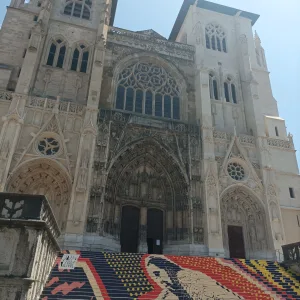 Guided tour in Vienne – 2 hours