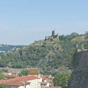 Guided tour in Vienne – 2 hours