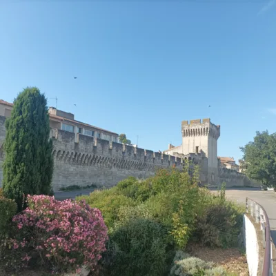 Tour to Avignon and Pont du Gard – 8 hours