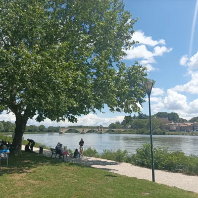 Private tour in Avignon – 4 hours