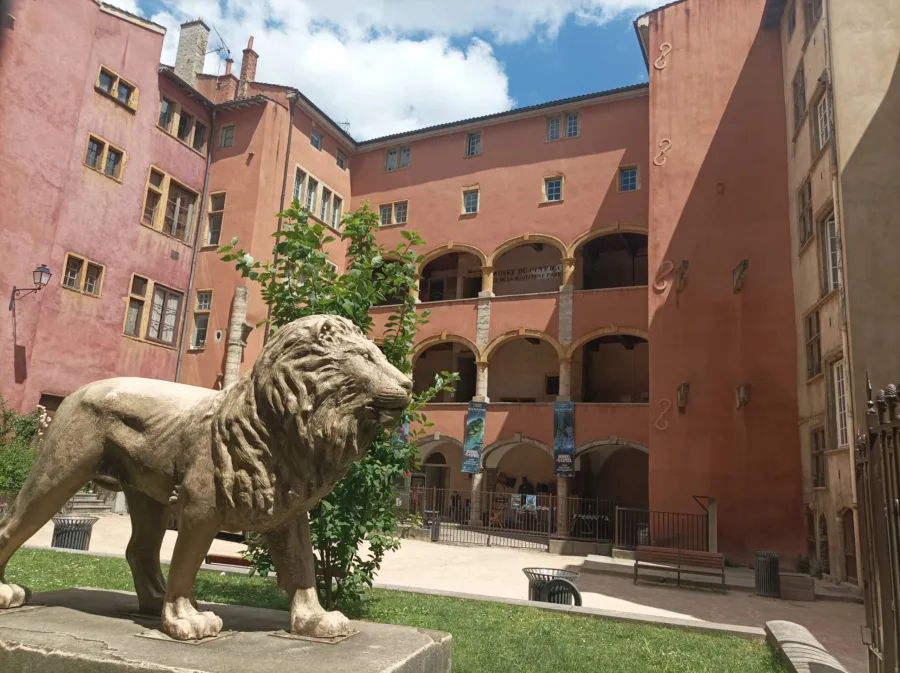 Ekskursija ar gidu Lionā, Romēns Bouchaud